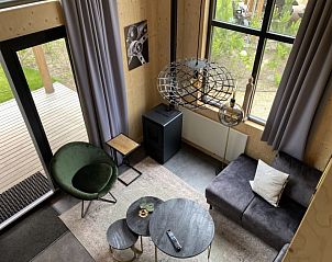 Gezellige woonkamer in Vakantiehuis Tiny House 4, Hulshorst, Veluwe, met moderne inrichting en uitzicht op de natuur.