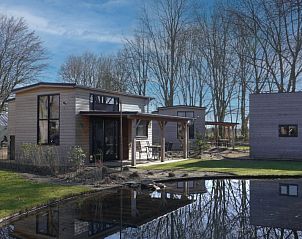 Buitenzijde van Vakantiehuis Tiny House 4 in Hulshorst, Veluwe, met terras en vijver in een bosrijke omgeving.