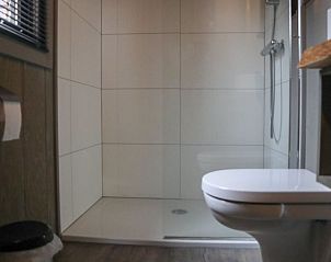 Moderne badkamer in Vakantiehuis Tiny House 4, Hulshorst, Veluwe, voorzien van douche en toilet.