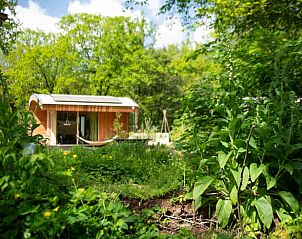 Ferienhaus in Otterlo, umgeben von ppiger Natur an der Veluwe in Gelderland.