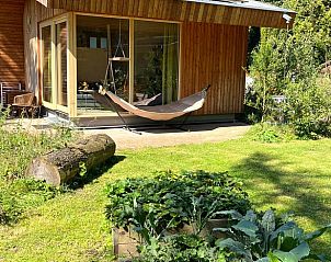 Sonnige Terrasse mit Hngematte im Ferienhaus in Otterlo, Veluwe, Gelderland.