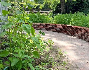 Attraktiver Gartenweg am Ferienhaus in Otterlo, Veluwe, umgeben von viel Grn.