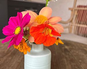 Frische Blumen in einer Vase im Ferienhaus in Otterlo, Veluwe, Gelderland.