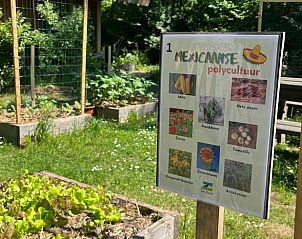 Lehrreiches Gartenschild ber mexikanische Pflanzen am Ferienhaus in Otterlo, Veluwe.