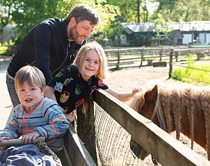 Kinderen voeren kippen bij Huisje in Otterlo, vakantiehuis op de Veluwe, Gelderland, een leuke activiteit voor gezinnen.