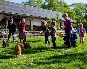 Kind aait paard bij Huisje in Otterlo, vakantiehuis op de Veluwe, Gelderland, perfecte plek voor dierenliefhebbers.