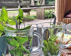 Vader leest boek met kind bij Huisje in Otterlo, vakantieaccommodatie op de Veluwe, Gelderland in een rustgevende omgeving.