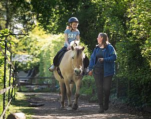 Speeltuin bij Huisje in Otterlo, vakantiehuis op de Veluwe, Gelderland met zandbak en speeltoestellen voor kinderen.