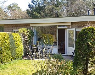 Vakantiehuis in Otterlo biedt een charmante tuin met terras, omgeven door de natuur van de Veluwe, Gelderland.
