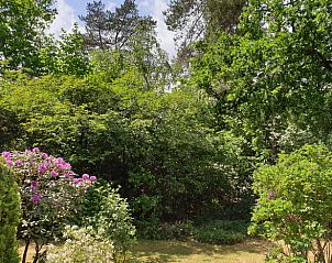 Weelderige tuin rondom Vakantiehuis in Otterlo, Veluwe, biedt rust en natuurlijke schoonheid.