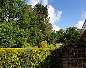 Groene omgeving van Vakantiehuis in Otterlo, Veluwe, met uitzicht op de prachtige natuur.