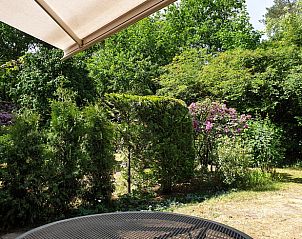 Terras van Vakantiehuis in Otterlo, Veluwe, met uitzicht op de bloeiende tuin en omringende natuur.