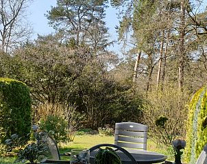 Schaduwrijke tuin bij Vakantiehuis in Otterlo, Veluwe, biedt een rustige plek om te genieten van de natuur.