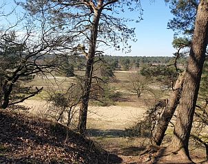 Panoramisch uitzicht over de Veluwe vanuit Vakantiehuis in Otterlo, perfect voor natuurliefhebbers.