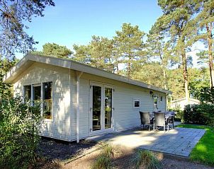 Entspannen Sie sich im Ferienhaus Unique Nouveau 4 in Otterlo, Veluwe. Genieen Sie die Terrasse inmitten der ruhigen Natur von Gelderland.