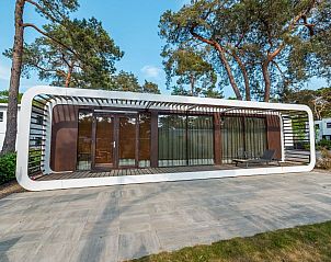 Modus Sauna 2 vakantiehuis in Otterlo, Veluwe, met modern terras omgeven door natuur en hoge bomen in Gelderland.