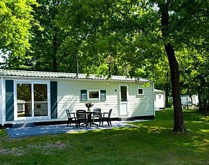 Genieen Sie die Ruhe und den Frieden im Ferienhaus Unique 4 in Otterlo, Veluwe. Umgeben von viel Grn mit einer groen Terrasse fr ultimative Entspannung.