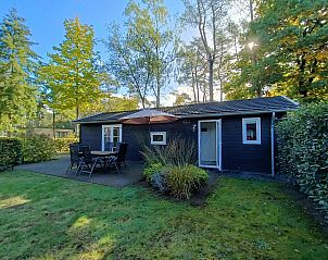 Superior 6 Ferienhaus in Otterlo, Veluwe, Gelderland mit Terrasse und umgeben von grner Natur.