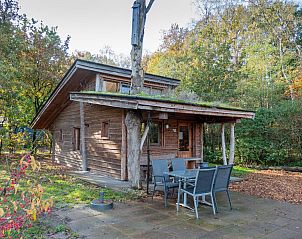 Nature Lodge 6 in Otterlo, Veluwe, Gelderland, ein charmantes Ferienhaus inmitten ppiger Natur und mit einer einladenden Veranda.