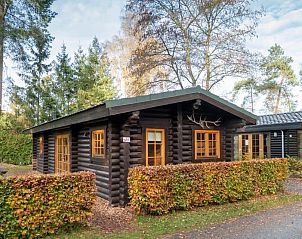 Unterkunft 3225180 • Ferienhaus Veluwe • Boekhorst 5 