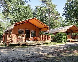 Verblijf 3225200 • Tenthuis Veluwe • Lodgetent 
