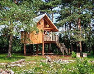 Guest house 3225203 • Holiday property Veluwe • Zwerfhut op hoogte 