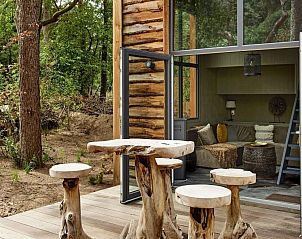 Unterkunft 3225215 - Ferienhaus Veluwe - Tiny House