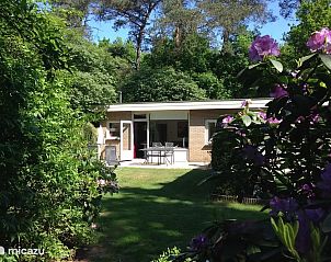 Unterkunft 3225224 - Ferienhaus Veluwe - Boshuisje Veluwe Natuurpark Hoefbos