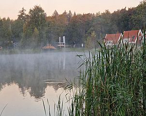 Unterkunft 3225238 - Ferienhaus Veluwe - Stiltewoud