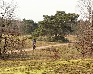 Unterkunft 3225238 - Ferienhaus Veluwe - Stiltewoud