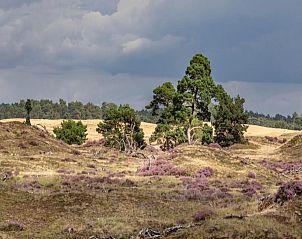 Unterkunft 3225238 - Ferienhaus Veluwe - Stiltewoud