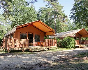 Unterkunft 3225254 - Zelthaus Veluwe - Lodgetent