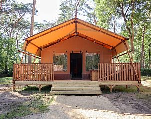 Unterkunft 3225254 - Zelthaus Veluwe - Lodgetent