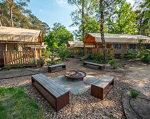 Unterkunft 3225254 - Zelthaus Veluwe - Lodgetent