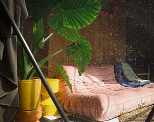 Gezellige binnenruimte in Huisje in Otterlo, Veluwe, met comfortabele bank en groene planten, ideaal voor ontspanning in Gelderland.