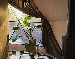 Verblijf 3225256 - Vakantiewoning Veluwe - Huisje in Otterlo