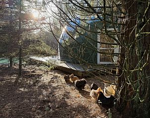 Verblijf 3225256 - Vakantiewoning Veluwe - Huisje in Otterlo