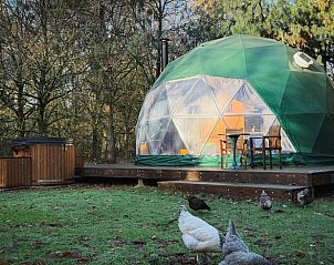 Verblijf 3225256 - Vakantiewoning Veluwe - Huisje in Otterlo