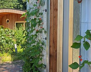 Unterkunft 3225324 - Ferienhaus Veluwe - Vakantiehuis in Otterlo