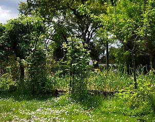 Unterkunft 3225324 - Ferienhaus Veluwe - Vakantiehuis in Otterlo