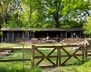 Unterkunft 3225324 - Ferienhaus Veluwe - Vakantiehuis in Otterlo