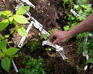 Unterkunft 3225324 - Ferienhaus Veluwe - Vakantiehuis in Otterlo