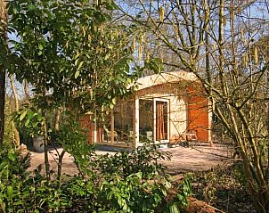 Unterkunft 3225325 - Ferienhaus Veluwe - Vakantiehuisje in Otterlo