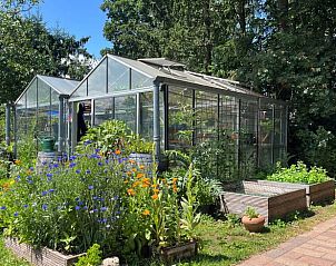 Unterkunft 3225325 - Ferienhaus Veluwe - Vakantiehuisje in Otterlo