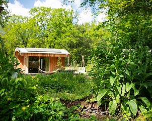 Unterkunft 3225325 - Ferienhaus Veluwe - Vakantiehuisje in Otterlo