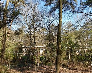 Bosrijke omgeving van Vakantiehuisje in Otterlo, Veluwe, Gelderland.