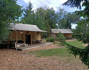 Unterkunft 322565 • Ferienhaus Veluwe • Glampingtent 5 