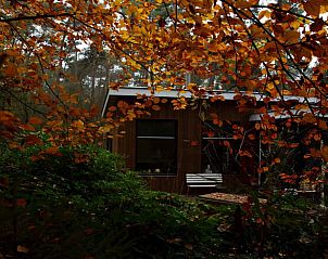Verblijf 322568 • Vakantiewoning Veluwe • Vakantiehuisje in Otterlo 