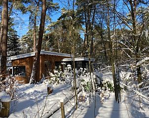 Schnee bedeckt den Wald um das Ferienhaus in Otterlo, ein charmantes Ferienhaus in der Veluwe, Gelderland, umgeben von Natur.