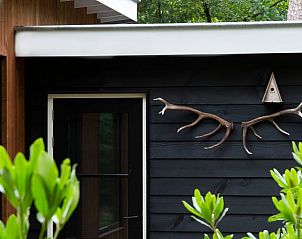 Stilvolles ueres des Ferienhauses in Otterlo, Veluwe mit natrlicher Dekoration und grner Umgebung in Gelderland.